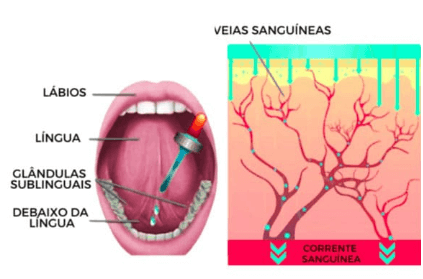 Image Title My Image